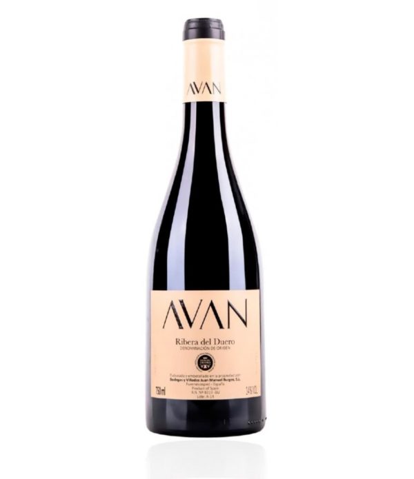 AVAN 12 MESES
